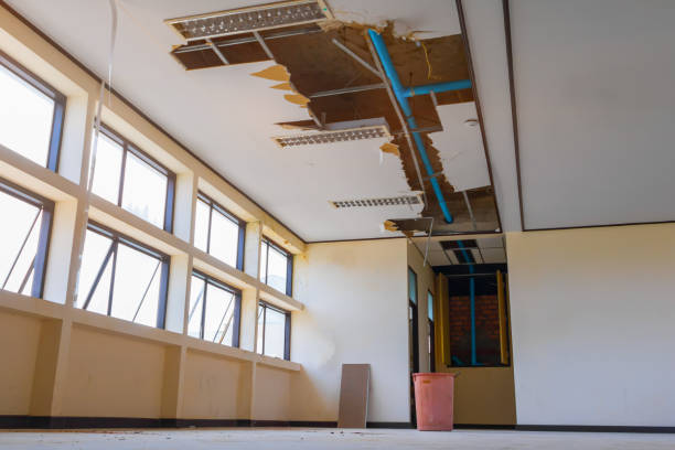 Best Water damage restoration near me  in Kahuku, HI