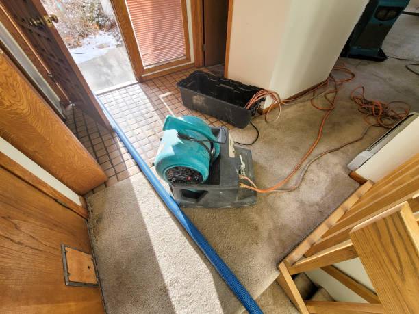 Trusted Kahuku, HI Water damage restoration Experts