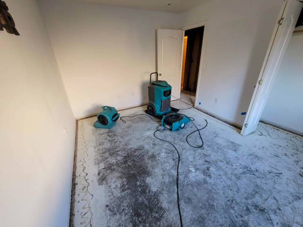 Best Flooded house restoration  in Kahuku, HI