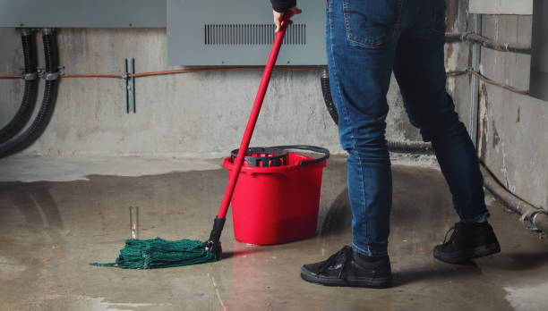 Best Sewage cleanup and water damage restoration  in Kahuku, HI