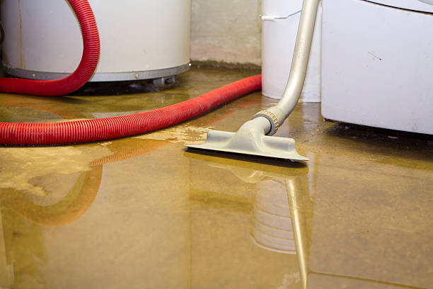 Best Local water damage restoration  in Kahuku, HI
