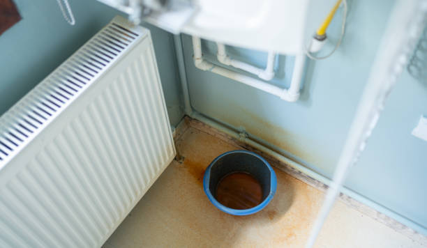 Best Carpet water damage restoration  in Kahuku, HI