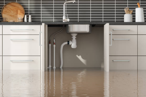 Trusted Kahuku, HI Water damage restoration Experts