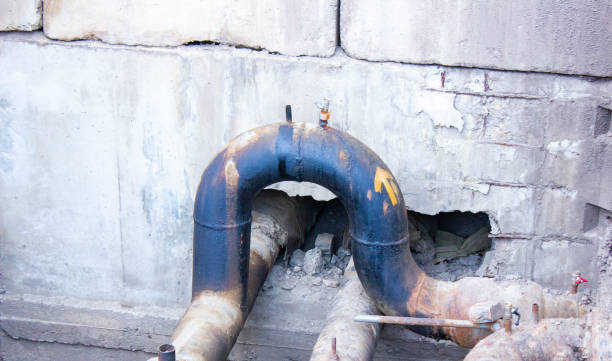 Best Basement water damage restoration  in Kahuku, HI