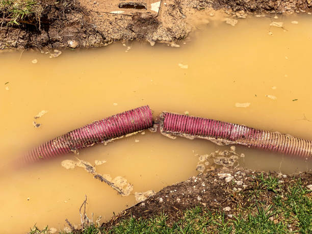 Carpet water damage restoration in Kahuku, HI